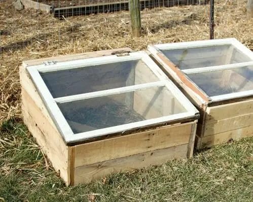 Cold Frame From Pallets