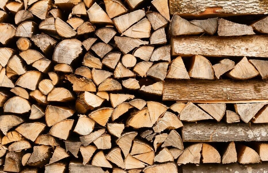 How To Identify Firewood?